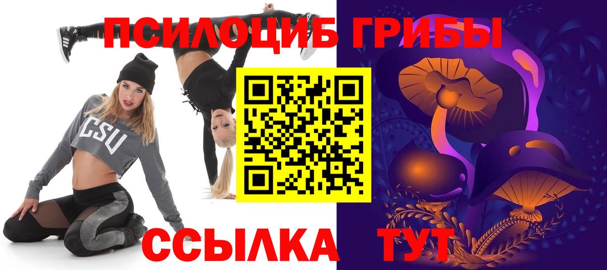 Галлюциногенные грибы Psilocybine cubensis Родники