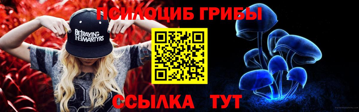 Родники  Галлюциногенные грибы мицелий  Вход с VPN 